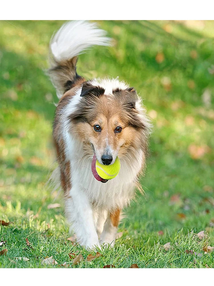 Automatic Dog Ball Launcher – Interactive Tennis Throwing Machine with USB Rechargeable Catapult for Fun Pet Play