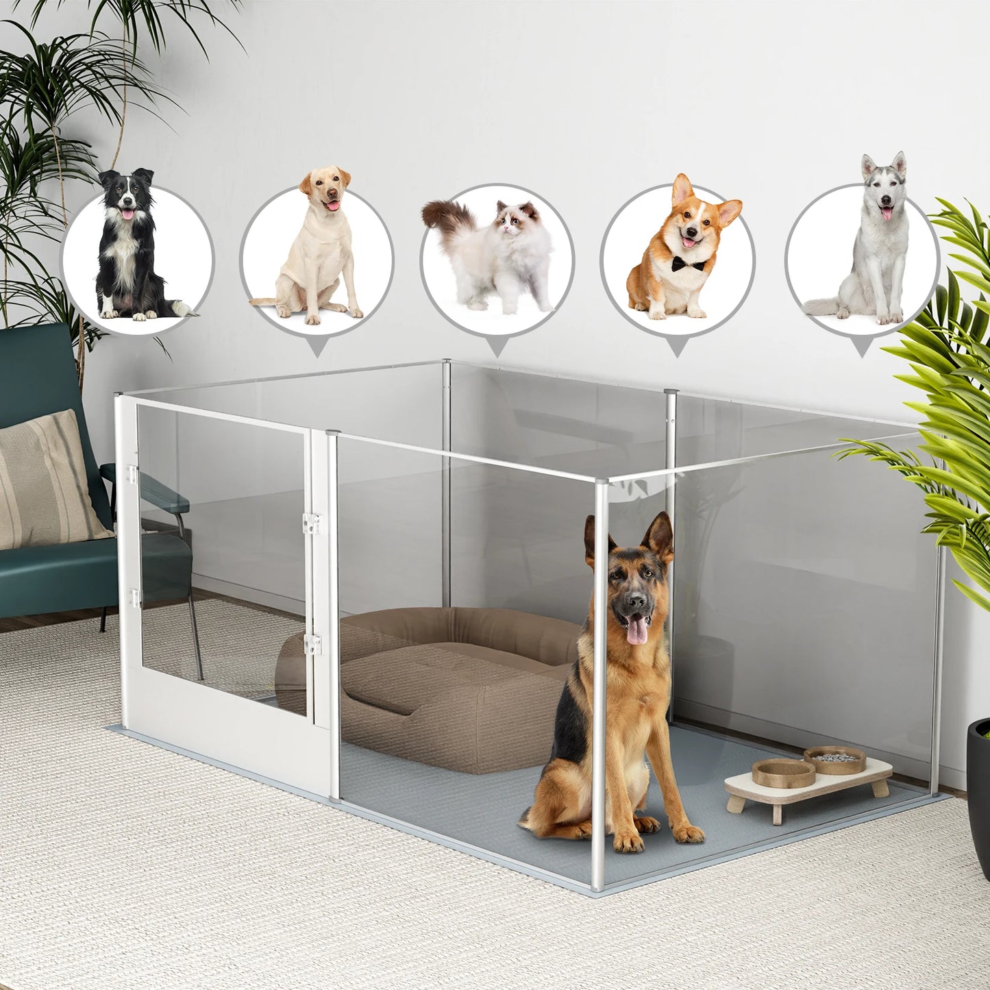 BingoPaw Clear Acrylic Dog Playpen – Transparent Pet Exercise Pen with Waterproof Whelping Pad for Cats & Puppies